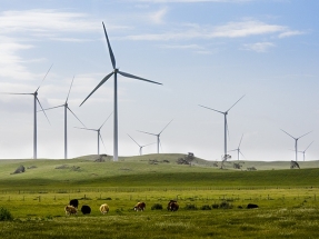 Iberdrola compra en Australia el que va a ser su mayor parque eólico terrestre del mundo