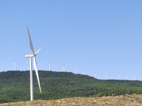 Iberdrola y el fondo soberano de Noruega coinvertirán en 1.265 MW renovables en España
