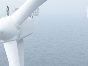 Un mar de luz Un mar de luz