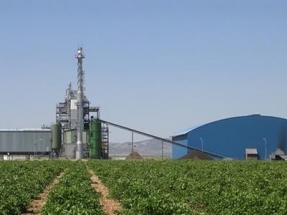 Ence adapta la planta de Enemansa para quemar biomasa forestal, además de orujillo