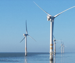 Hormuz Crisis Shows Need for Irish Energy Independence