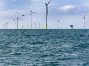 Cognitive Business Announces Development of Groundbreaking Wind AI Scheduler