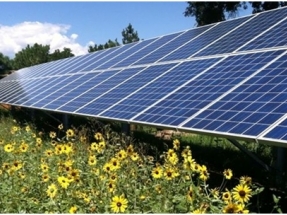 Colorado Governor Jared Polis to Sign Clean Energy Bills into Law 