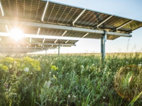 Lightsource bp and INSUN Partner on Solar Projects in Portugal 