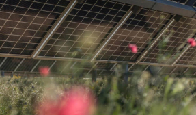 Lightsource bp Sells Selected Solar Portfolio to Aula Energy