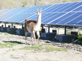 First Hydroelectric-Solar Microgrid in Patagonia 