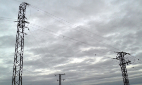 Conservacionistas urgen al Gobierno a aprobar la norma que frenará la muerte de aves en tendidos eléctricos y aerogeneradores