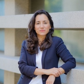 "La industria con antivertido está dejando de aprovechar energía de origen renovable" "La industria con antivertido está dejando de aprovechar energía de origen renovable"