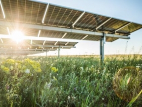 McDonald’s and eBay Partner with Lightsource bp to Power US Operations with Solar