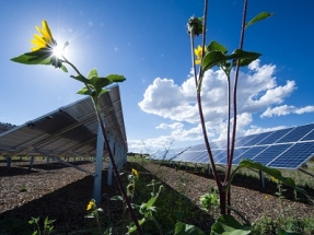 Tribal Utility-Scale Solar Initiatives Emerge Across Southwest US