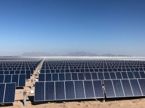 Anpier suma su voz contra los macroparques fotovoltaicos