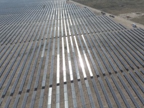 Presentan una herramienta jurídica para combatir macroproyectos de energías renovables