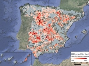 Visto bueno ecologista a la implantación de renovables en hasta la cuarta parte del territorio nacional