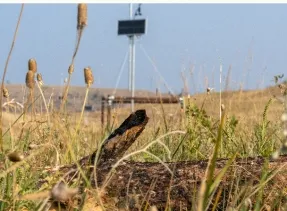 Mast Sells, Delivers Market-First Biomass Burial Credits 