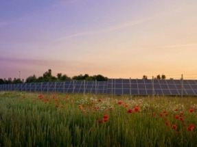 Companies Partner to Boost Biodiversity at UK Renewable Energy Sites
