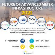 Future of Advanced Metering Infrastructure Future of Advanced Metering Infrastructure