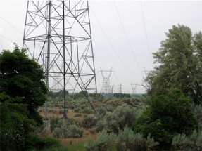 Massachusetts Pulls Plug on $1.6 Billion Transmission Line Project