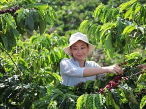 Nestlé Launches NESCAFÉ Plan 2030 to Help Drive Regenerative Agriculture