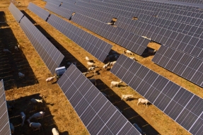 Nexwell Power compra una cartera solar de siete plantas y 248 MW en Aragón y Andalucía
 