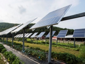 Amazon Announces Solar Project in Virginia