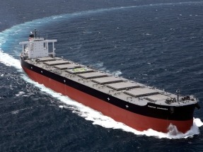 NYK Conducts Long-Term Trial for Full-Scale Introduction of Biofuels