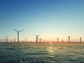 IRENA Report Addresses Need for Offshore Wind Industry to Go Global
