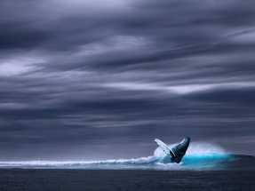 Over 150 Companies Take Principled Stand at UN Ocean Conference