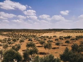 La Agencia Andaluza de la Energía incentiva con casi dos millones a una empresa orujera de Jaén
