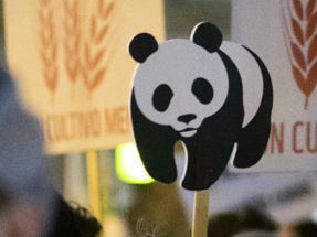 WWF España busca técnico en clima y energía para su sede en Madrid 