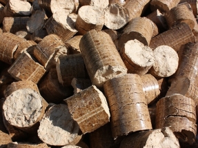 Leading Forest Experts Confirm British Columbia Wood Pellets Are Responsibly Sourced