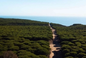 20.000 muertes en cinco años y 12.000 millones de euros en pérdidas solo en 2025