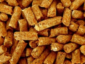 
¿Continuará en 2024 el IVA especial del 5% a los pellets de madera?
