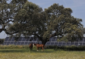 Statkraft obtiene luz verde ambiental para dos nuevos proyectos solares en Cáceres