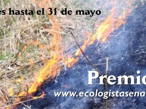 Ecologistas en Acción vuelve a la carga con los Premios Atila 2024
