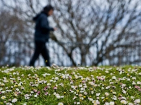 El "informe climático" del invierno 2019 de la Agencia Estatal de Meteorología, lleno de alertas El "informe climático" del invierno 2019 de la Agencia Estatal de Meteorología, lleno de alertas