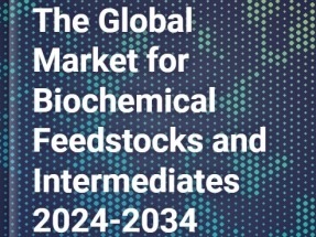 From Biomass to Market: Unveiling the Dynamics of the Global Biochemicals Industry 