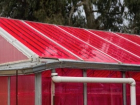 Solar Greenhouses Generate Electricity and Grow Crops