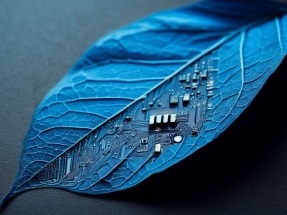 
El CSIC se inspira en la fotosíntesis para diseñar dispositivos solares más eficientes
