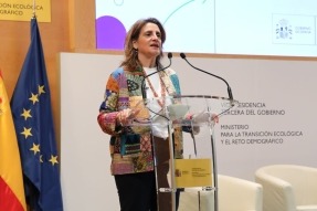 
¿Se están implementando de forma adecuada los proyectos renovables en los territorios?
