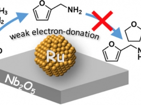 Reusable Catalyst Could Revolutionize Biomass Industry