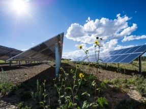 PowerSouth Energy Cooperative and Origis Energy Announce 80 MW Solar Project