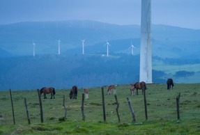 
La Guía de Ecoturismo Eólico dibuja diez paisajes que conviven con la energía eólica
