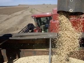 
Treinta organizaciones no gubernamentales piden a Bruselas el fin de los biocombustibles de soja
