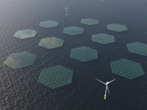 Solarduck Awarded Largest Hybrid Offshore Floating Solar Power Plant At Offshore Wind Park 