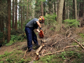 Bioenergy Joins European Alliance for a Green Recovery