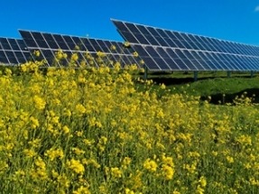 Soltec cierra 2,3 GW en contratos hasta septiembre y prevé un destacado crecimiento en la segunda mitad del año