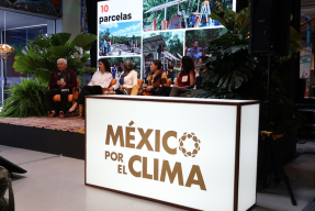 Un proyecto solar sin la comunidad pierde años y dinero