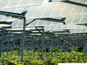 Companies Partner on Development of Agricultural PV in France