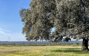 
La energía solar marca nuevo máximo histórico de reducción de emisiones en España
