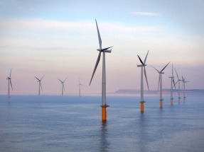 Codling Wind Park Announces €500,000 Fisheries Fund